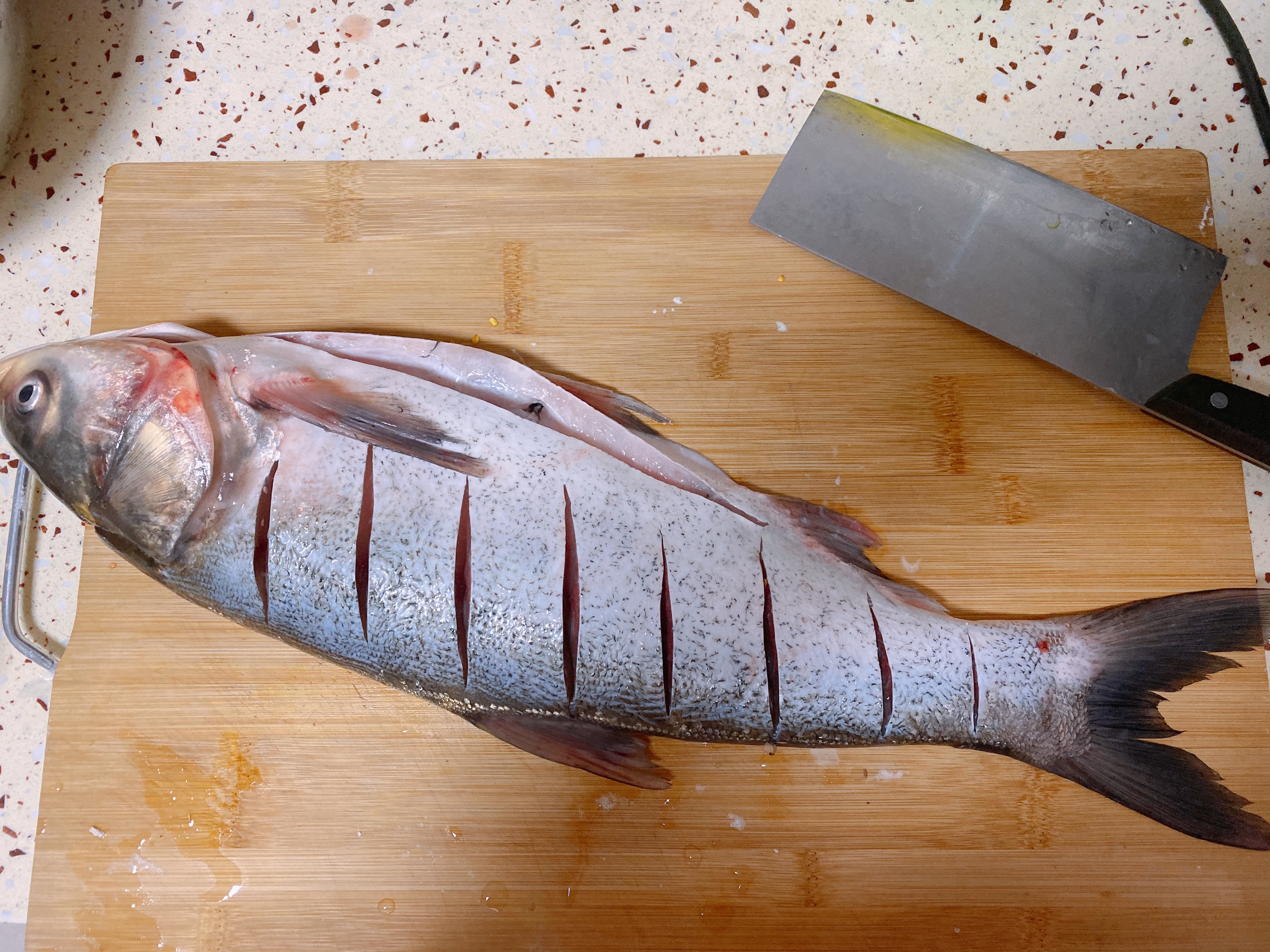 家常炖白鲢鱼 红烧鱼的做法 步骤2