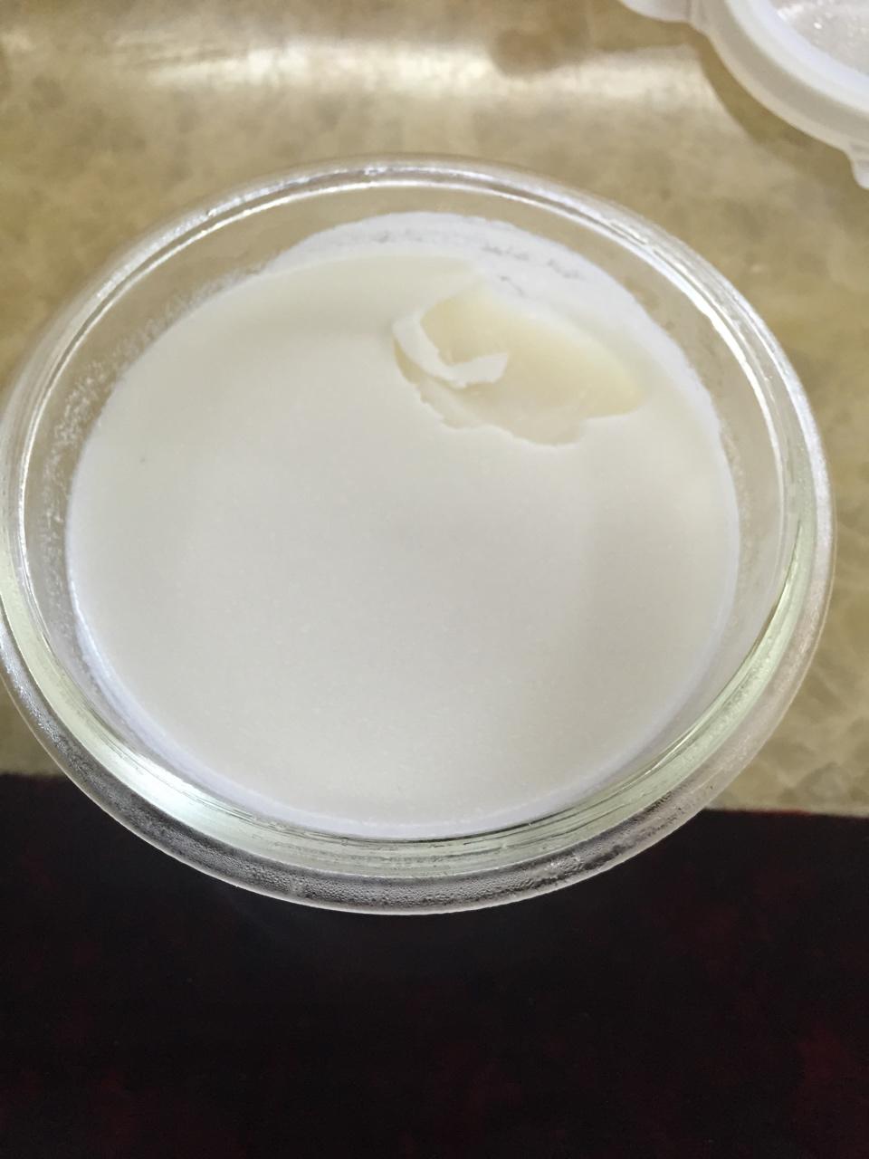 QQ弹弹椰子冻「厨娘物语」