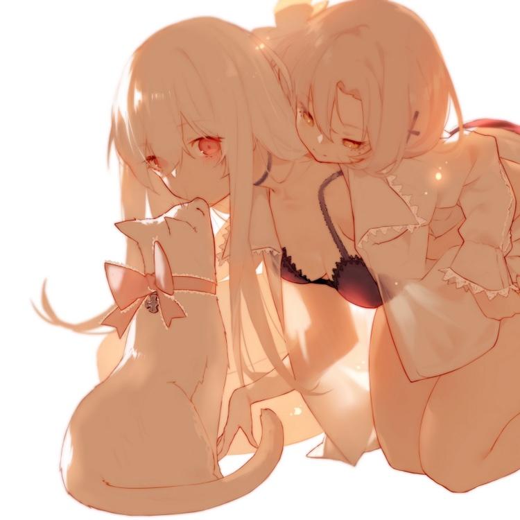 电子羊zsbd