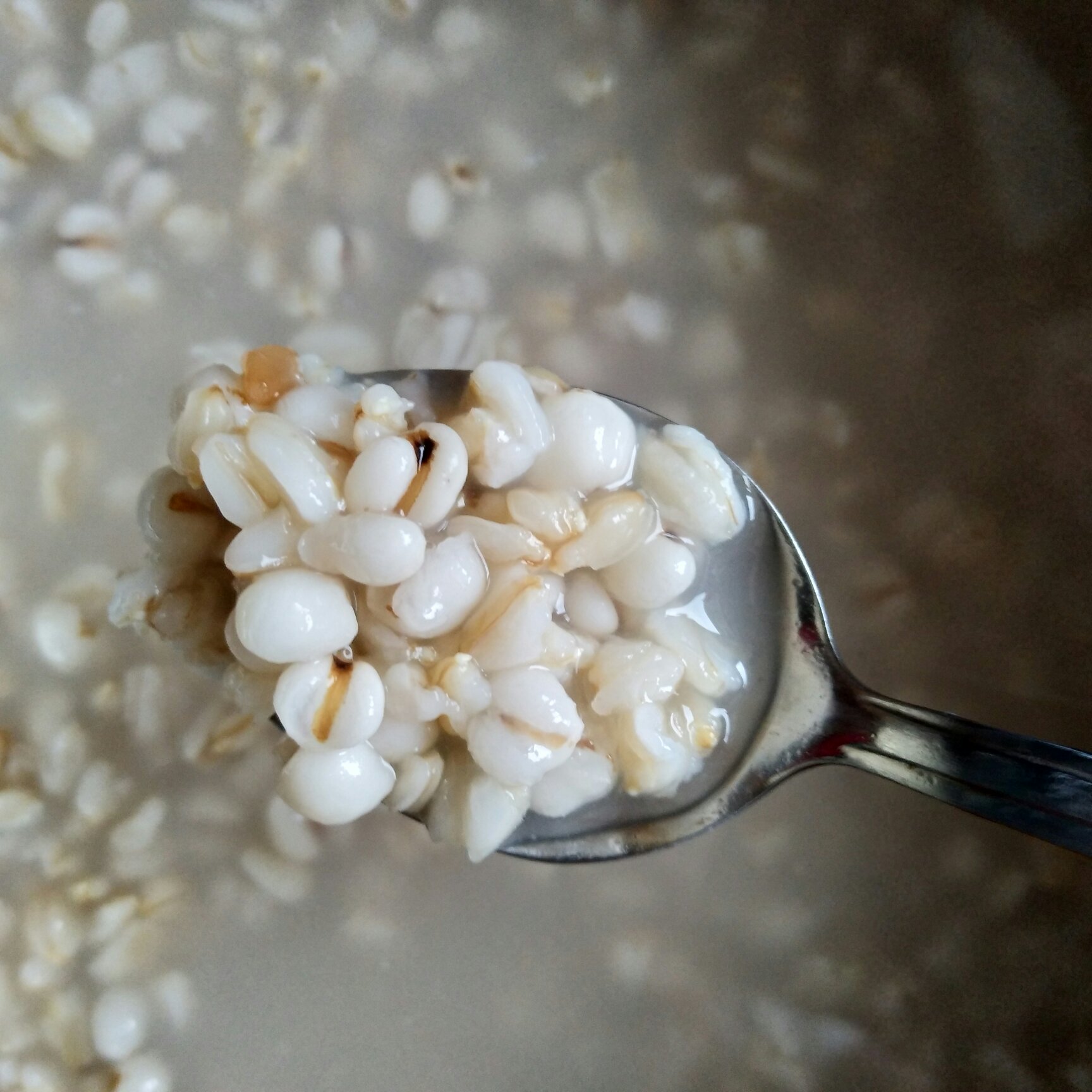 燕麦薏米粥