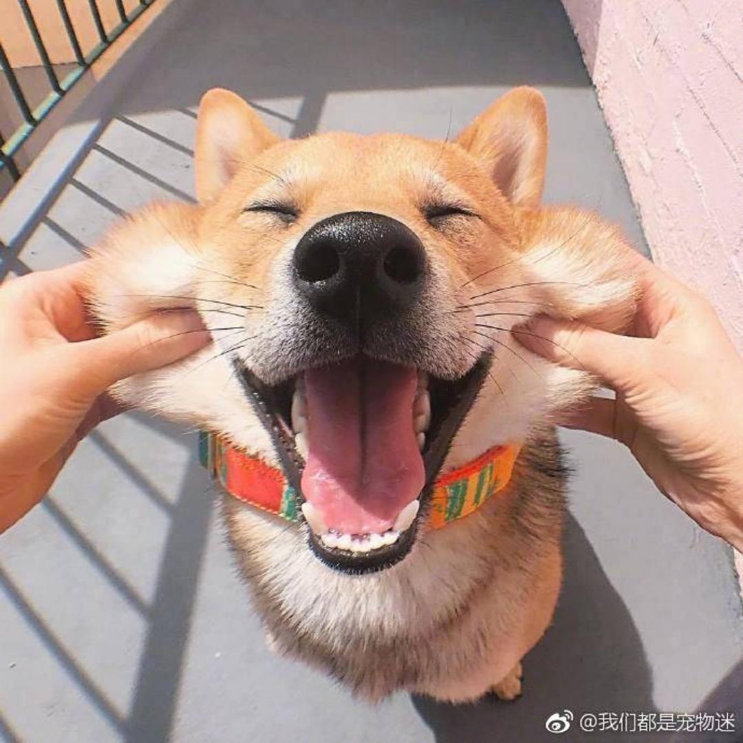 下厨房的会计