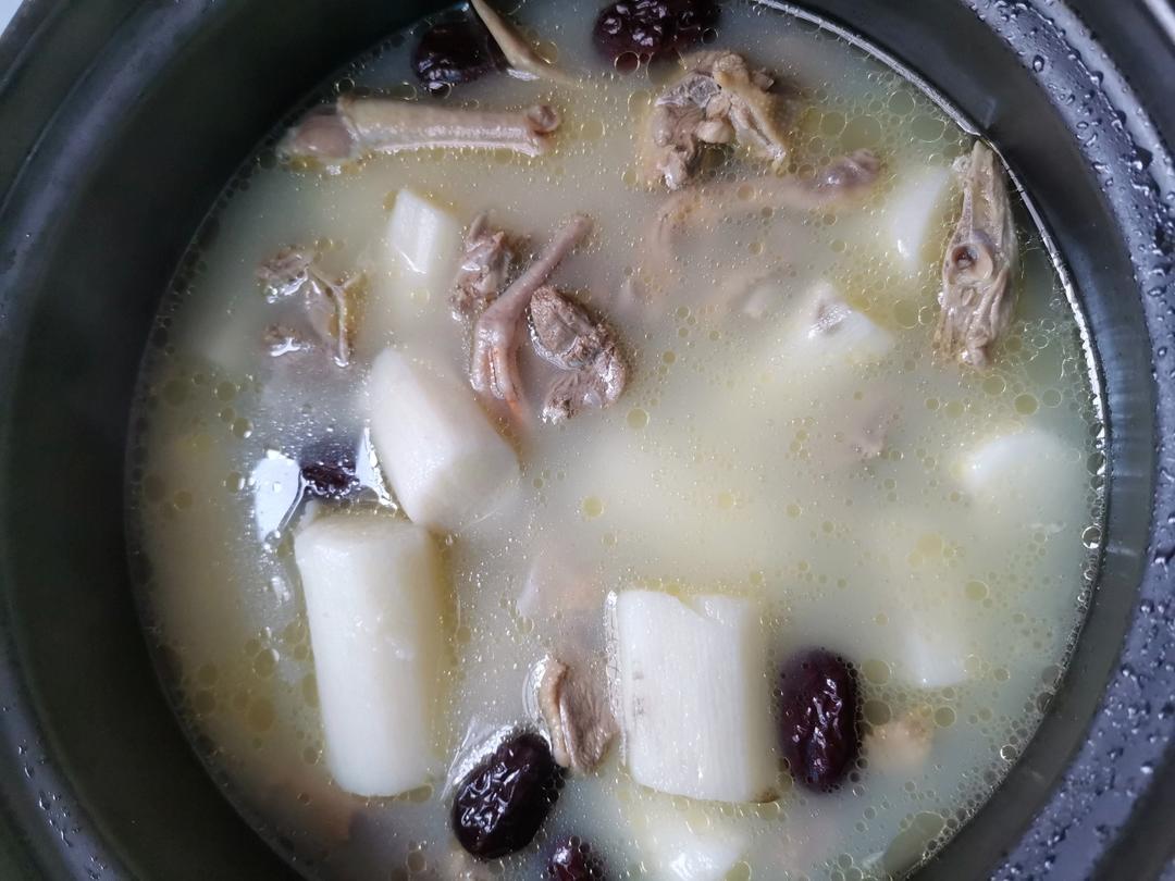 滋补鸽子汤