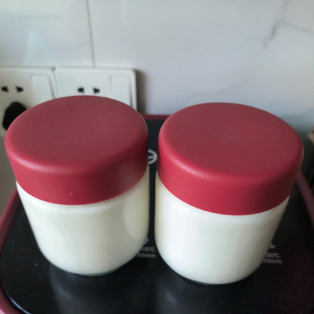 自制酸奶，不需菌粉/酸奶机/烤箱/电饭锅，一条毛巾就好