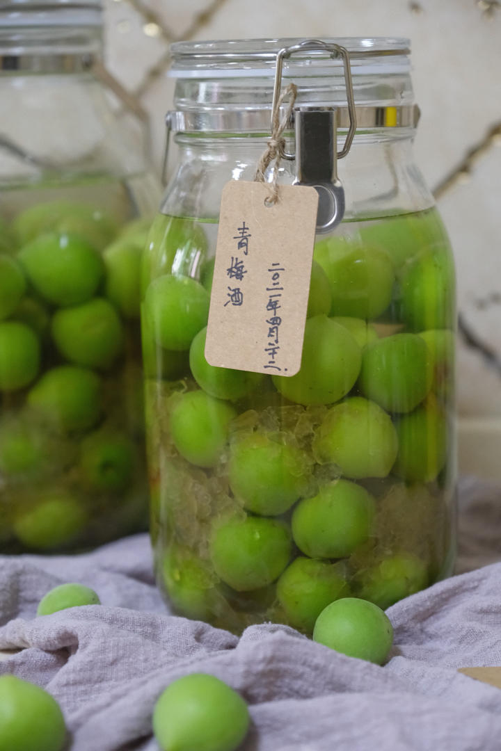 零失败【青梅酒 & 梅子露】梅子的沉淀岁月