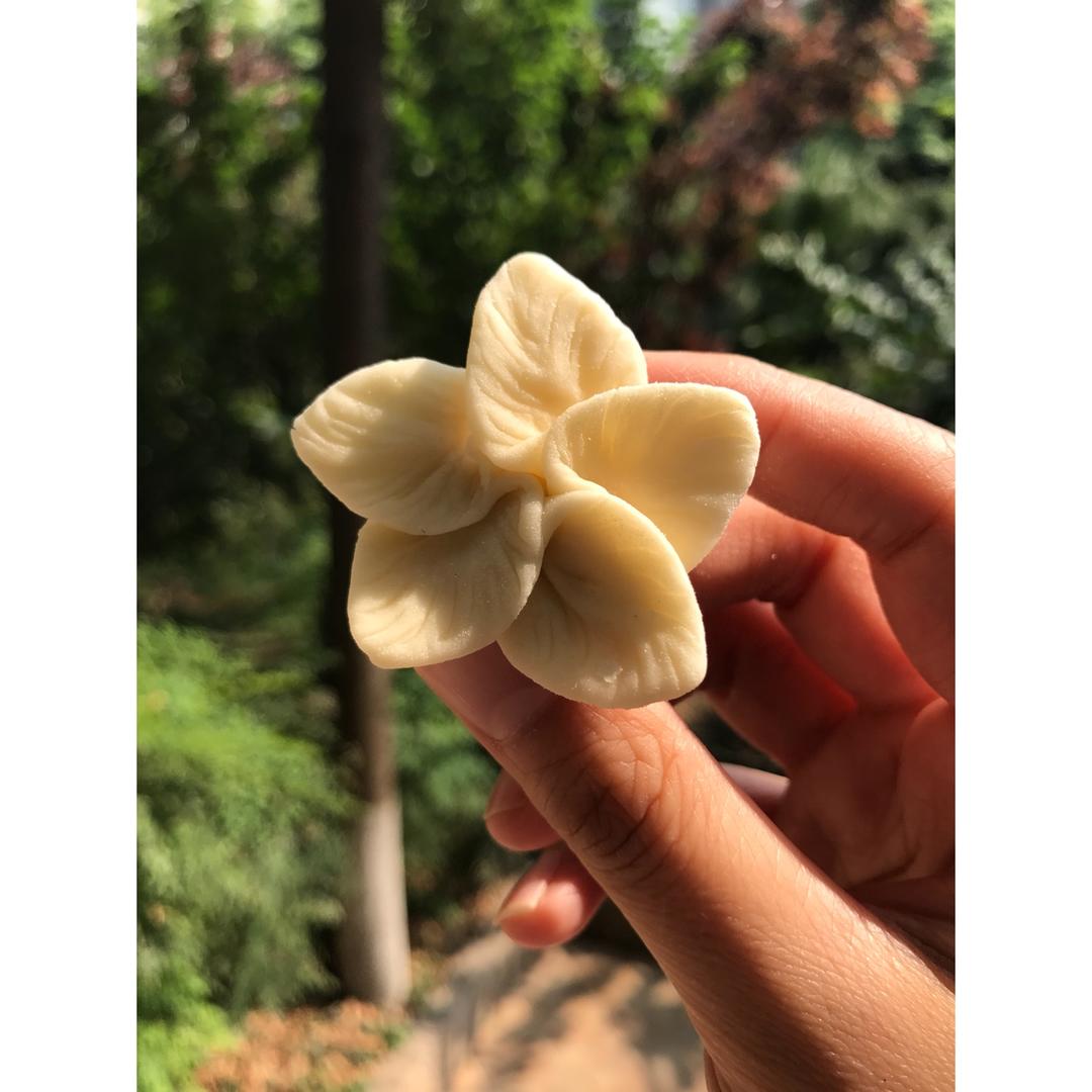 水调面团---白菜饺子（附视频）