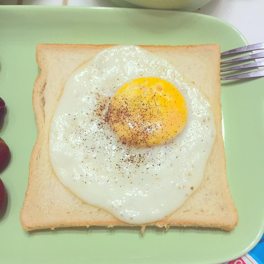 【熊记】太阳蛋