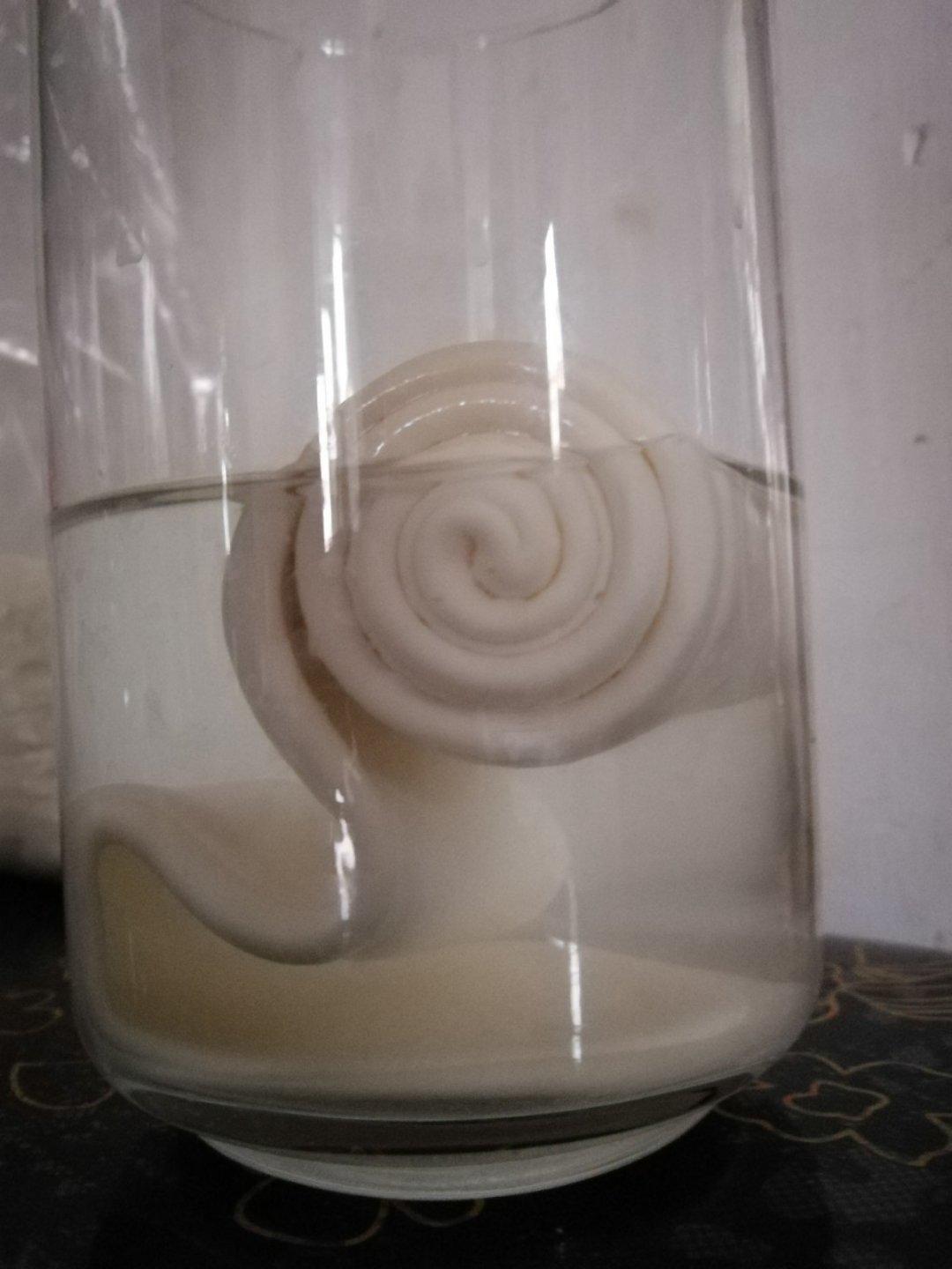 意大利水式酵母（Pasta Madre)