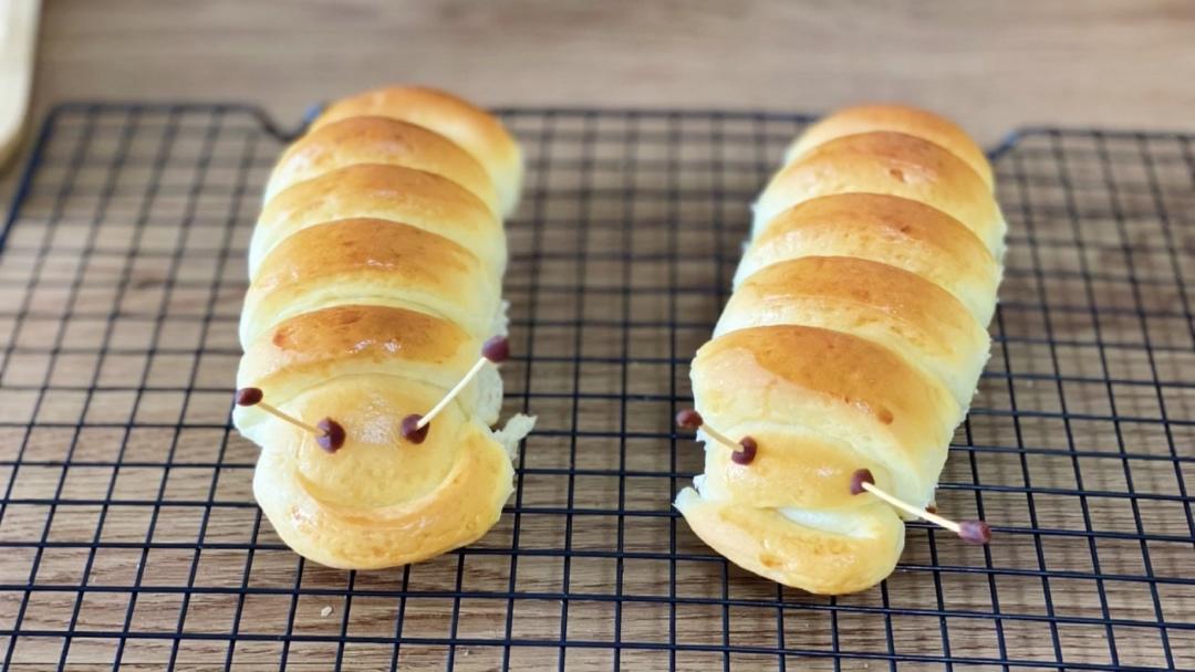 萌萌哒毛毛虫面包