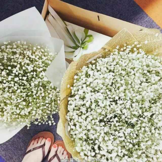 听栀子花开的声音