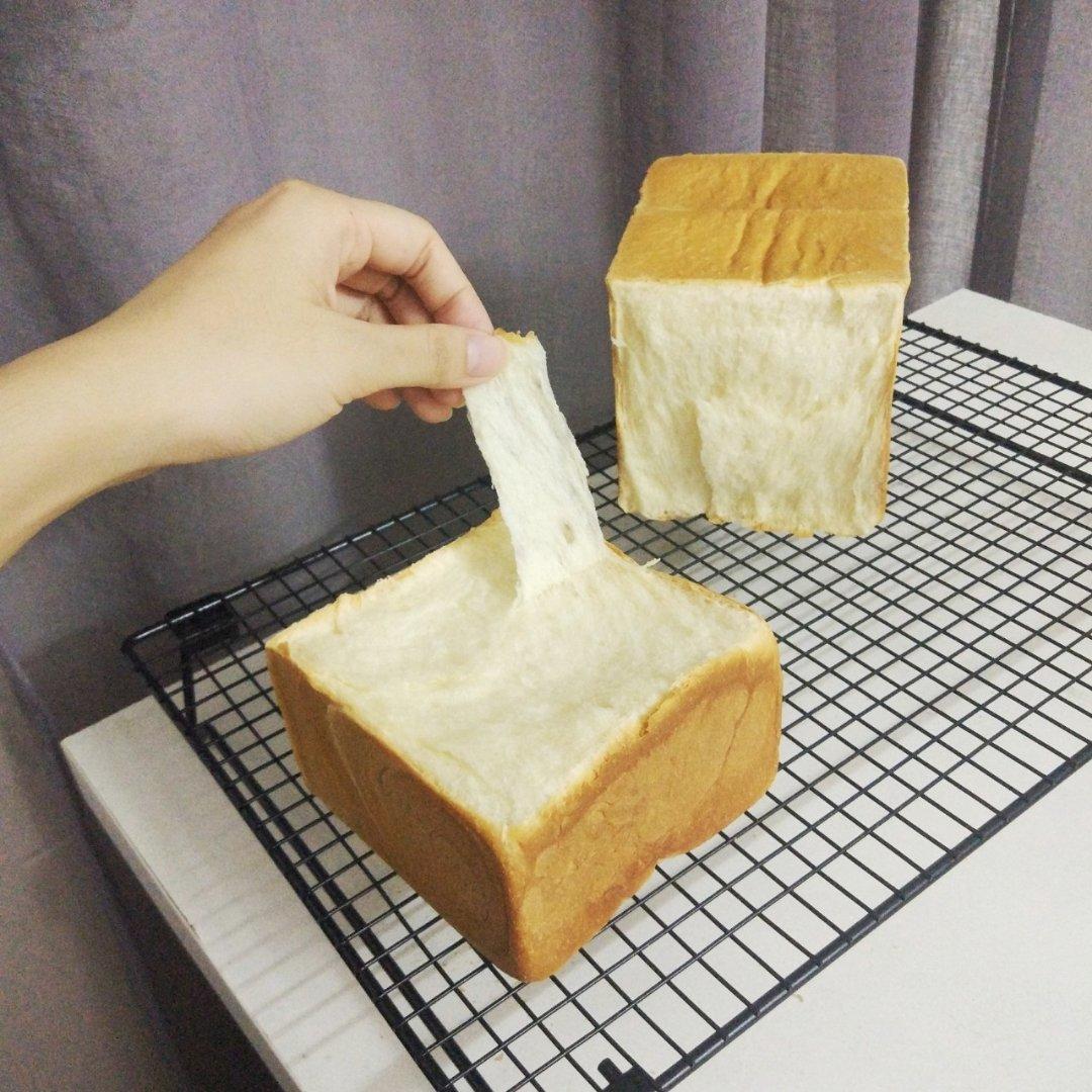 小鱼的小鱼缸