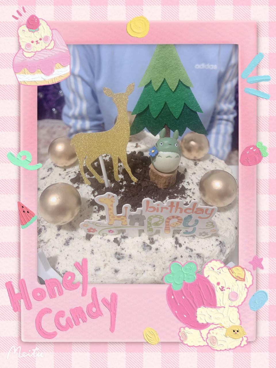 可可戚风蛋糕～8寸～百分百成功