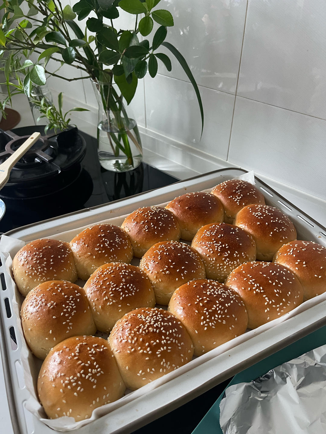 老面包 （普通面粉/中筋面粉+植物油/玉米油/黄油 各种规格版）