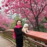 手机用户2557_wtgf