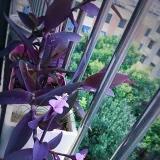 手机用户9599_9p1v