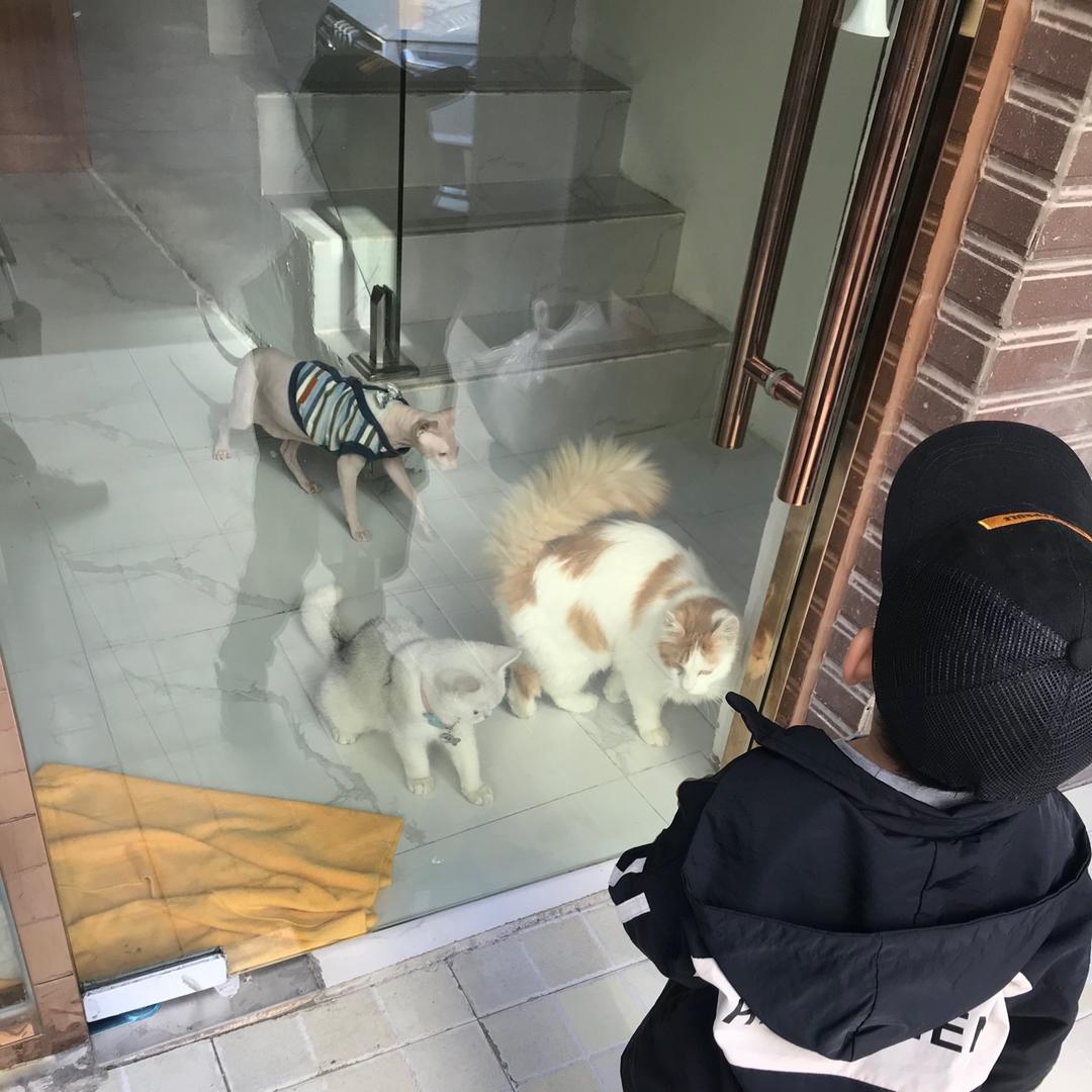 浮生若梦fsrm