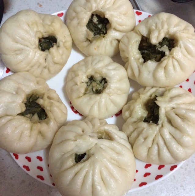堂妈教你山菜鲜肉大包子