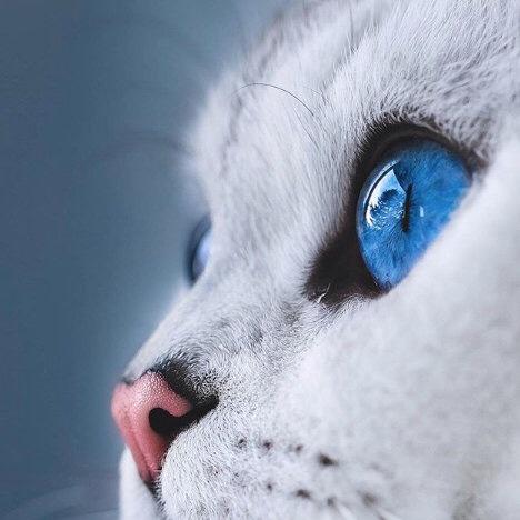 壹加壹等于四的幸福生活