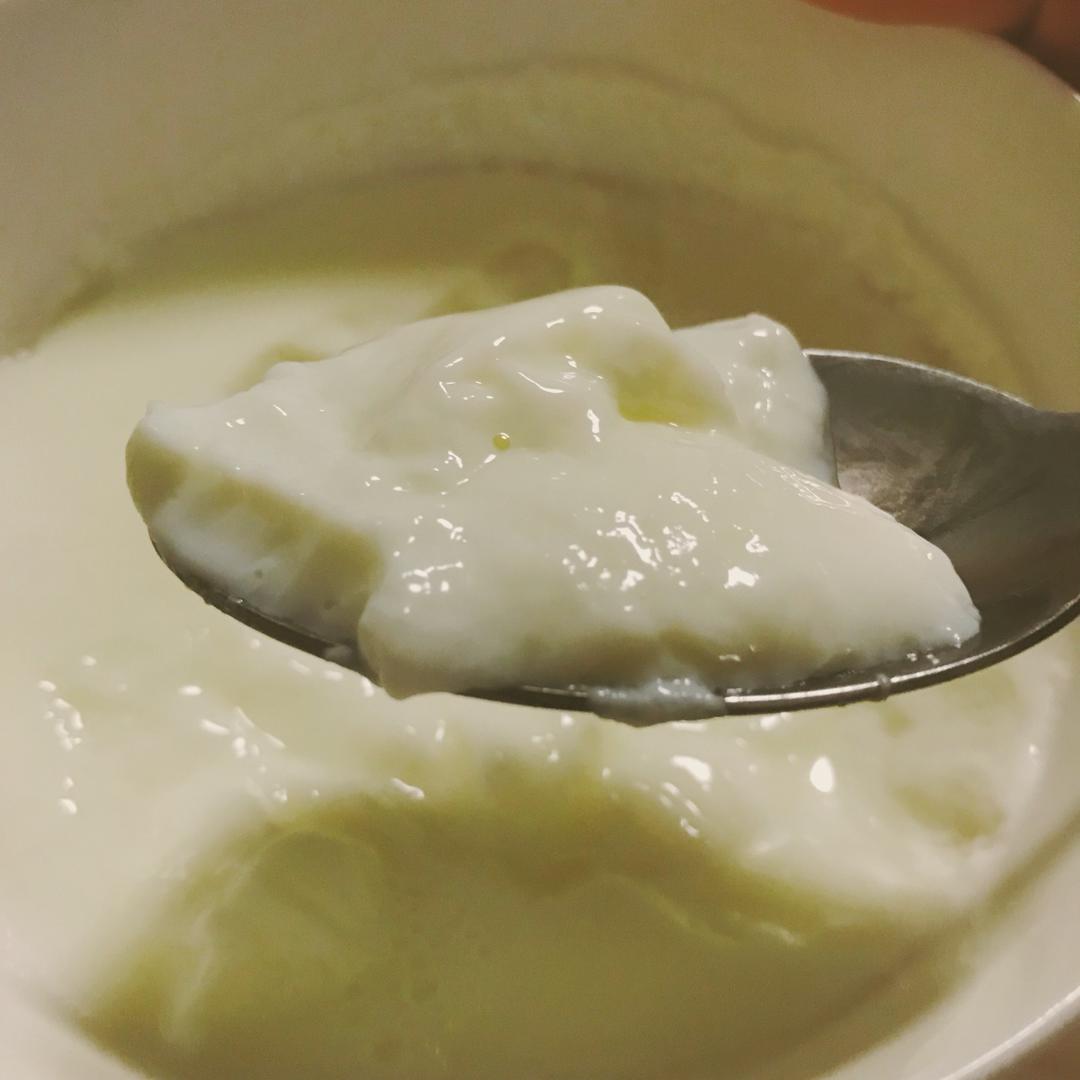 顺德双皮奶