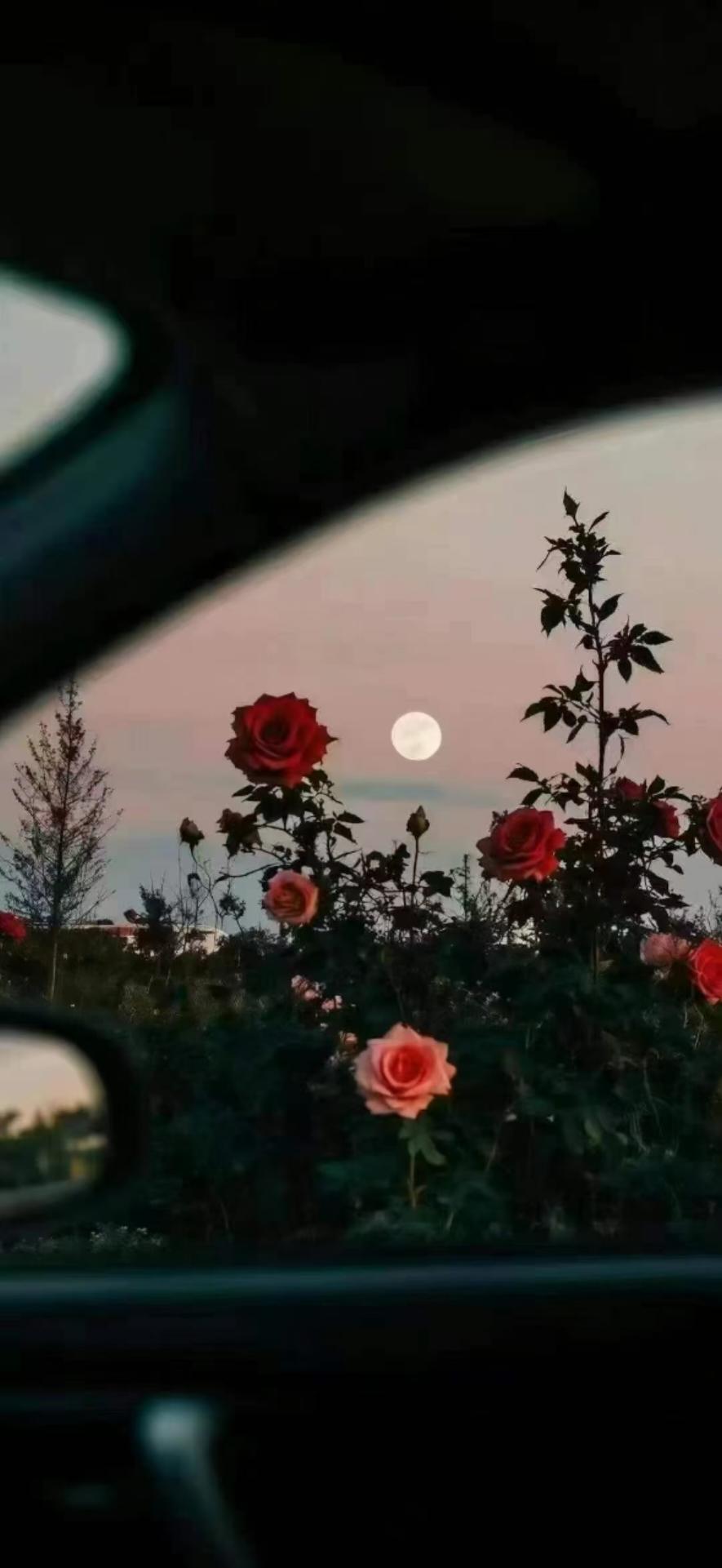 小梦的厨房