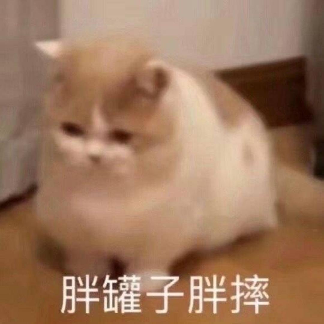 大头希希希