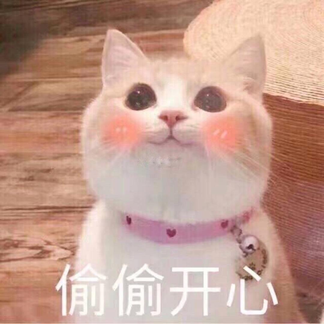 寻找路上
