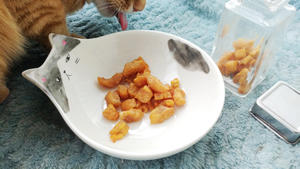 猫零食—纯烤鸡肉丁的做法 步骤6