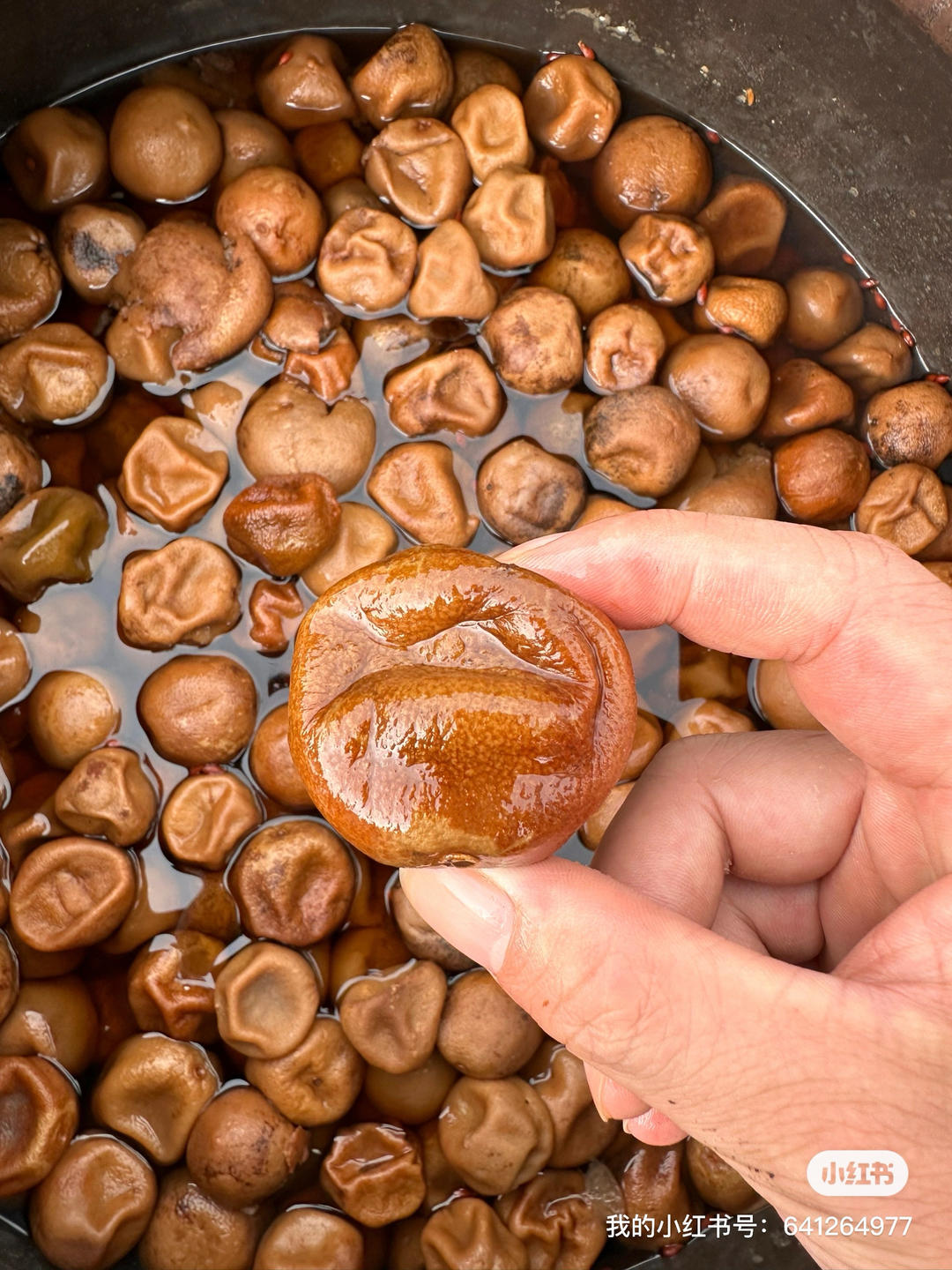 正宗的广西咸柠檬是怎么腌制的