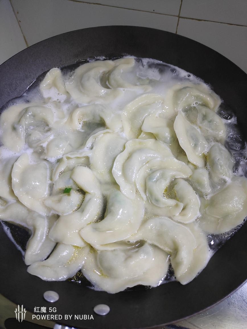 纯手工北方饺子（韭菜猪肉馅）的做法