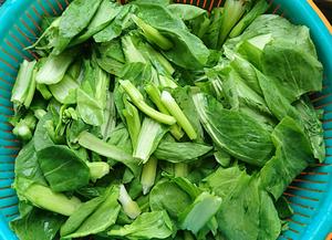 清香菜苔的做法 步骤1