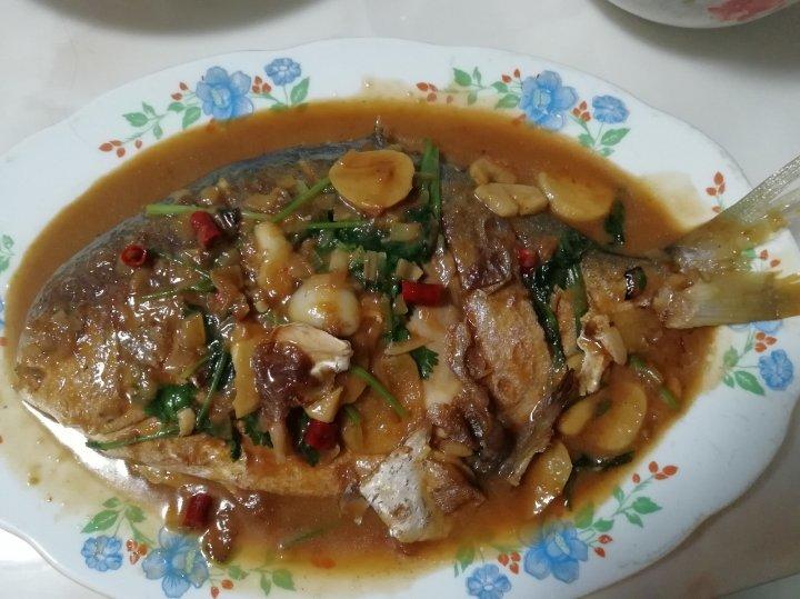 家常红烧鲳鱼