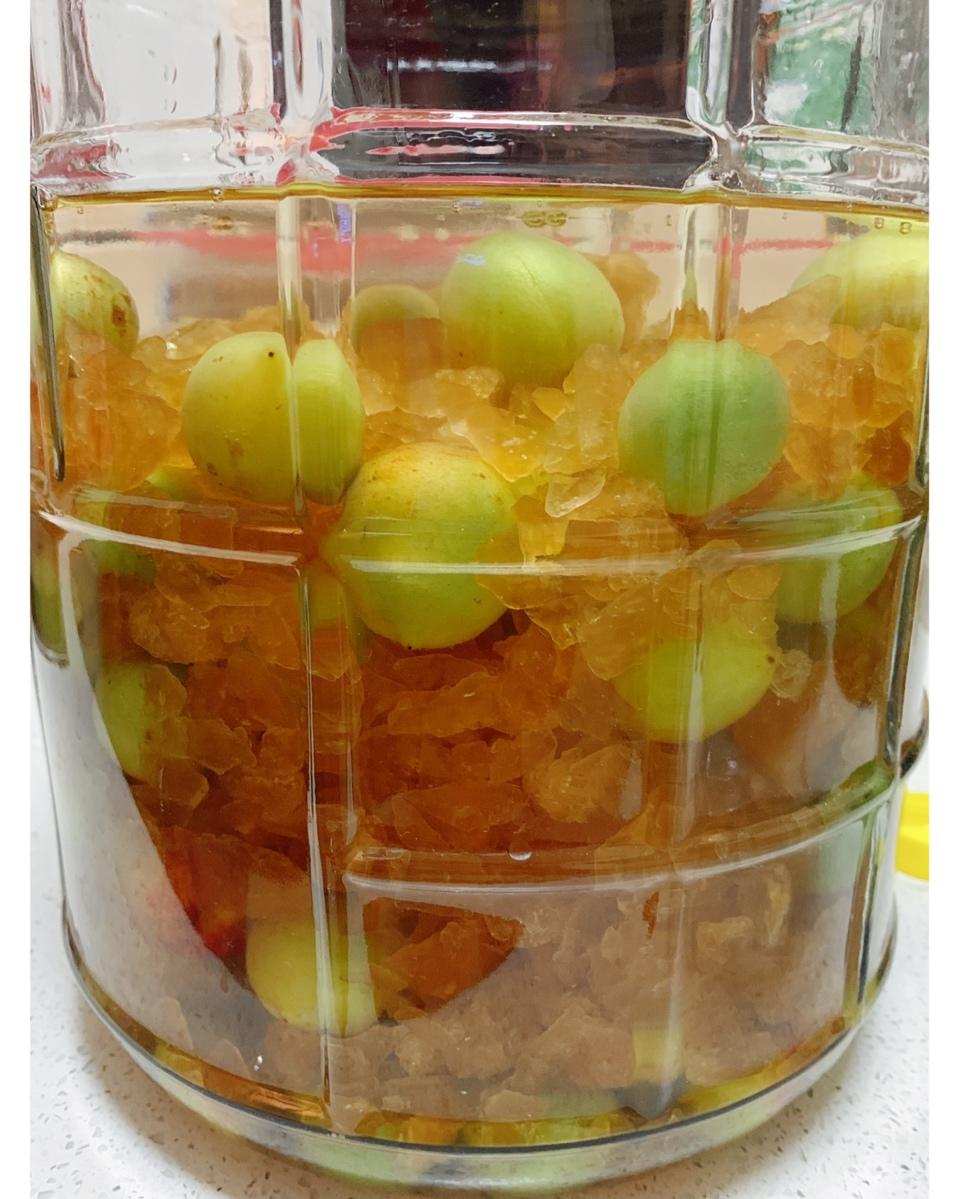 【青梅酒】梅子的沉醉时光（已填坑）