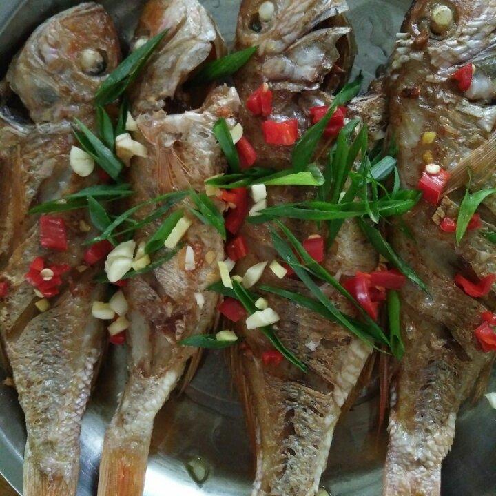 干煎香辣金线鱼