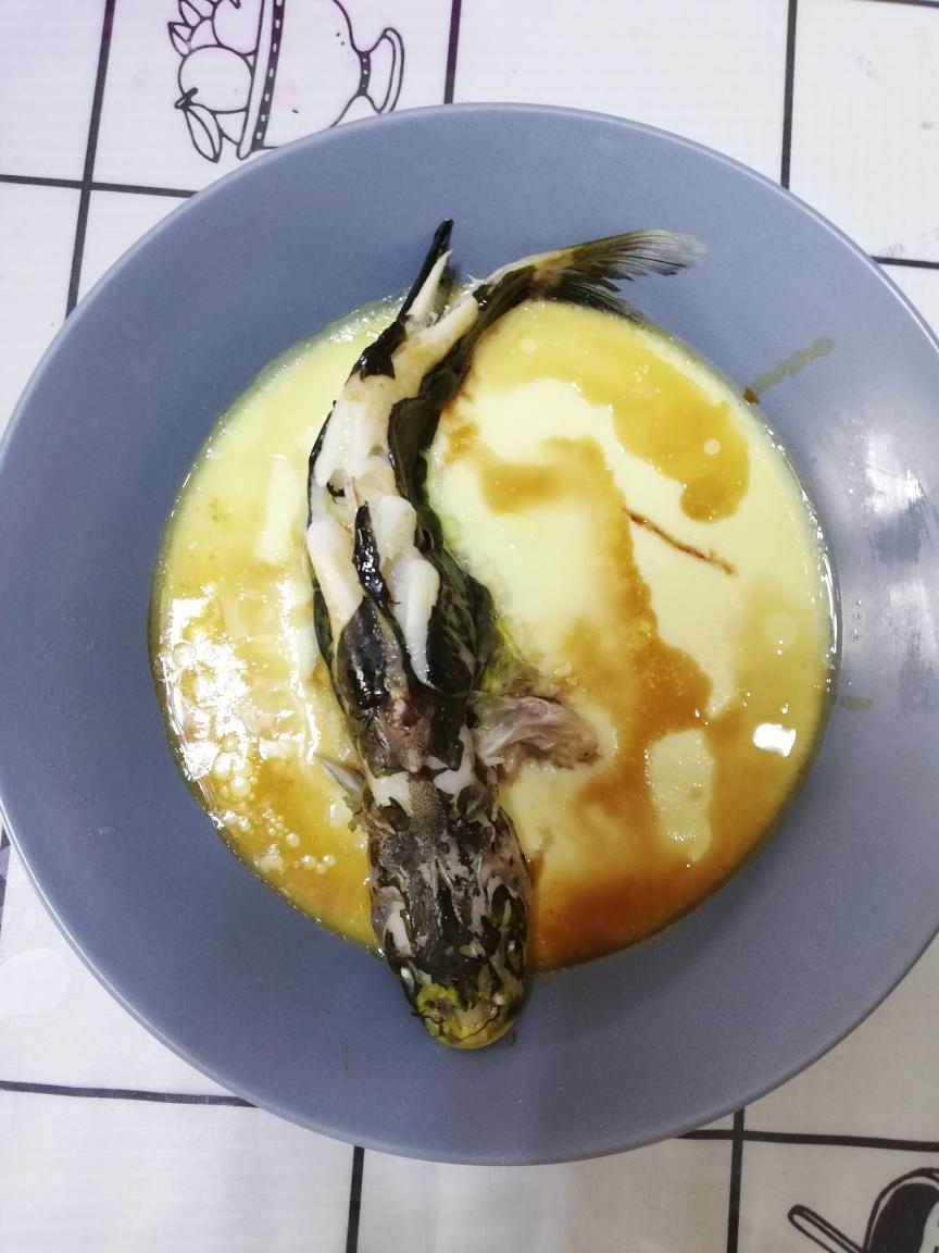 戈鱼(昂刺鱼)炖蛋的做法