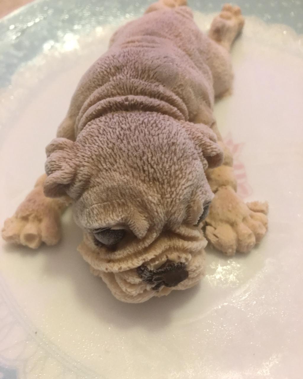 网红沙皮狗慕斯蛋糕