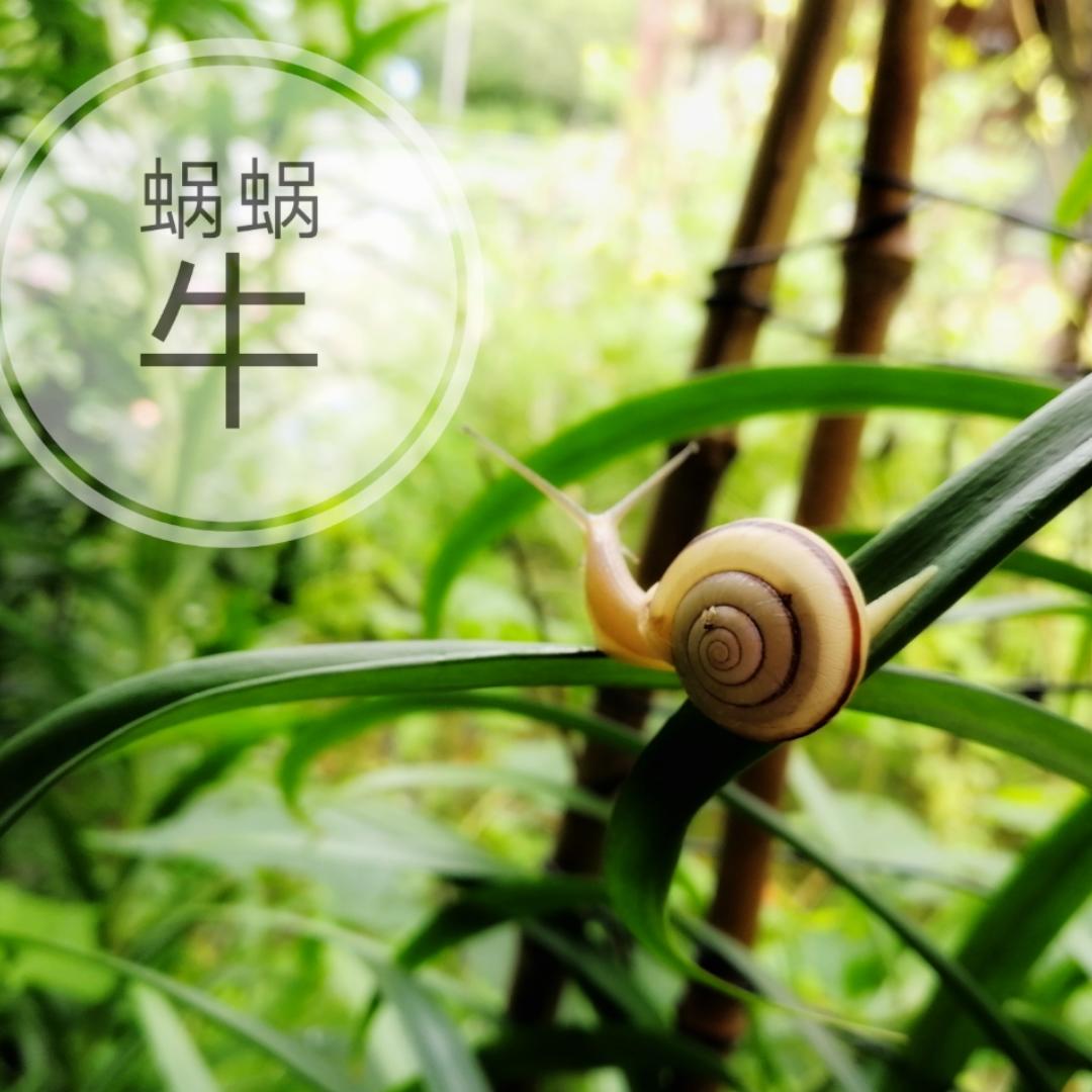软小滑爱生活