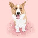 我有一个小马尾