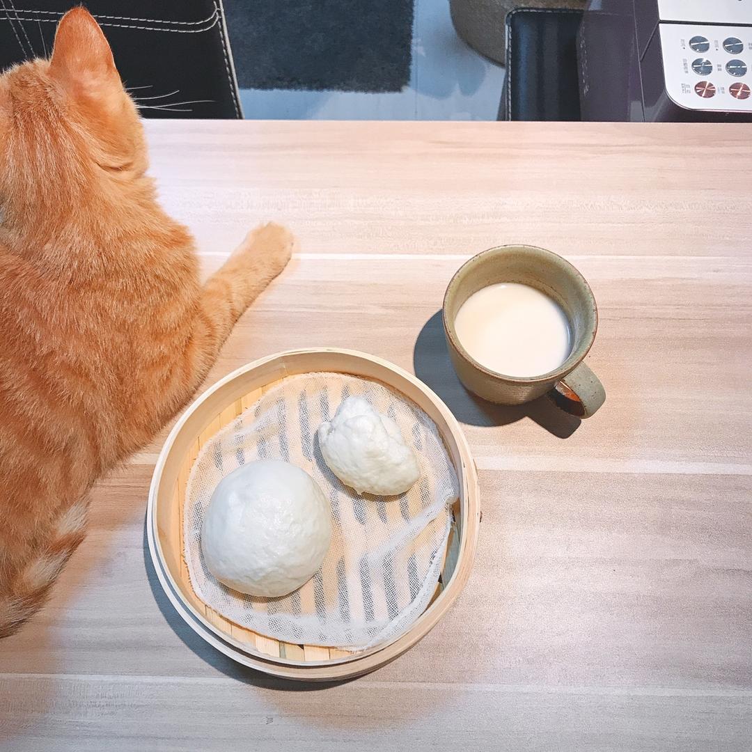 完美老面馒头攻略