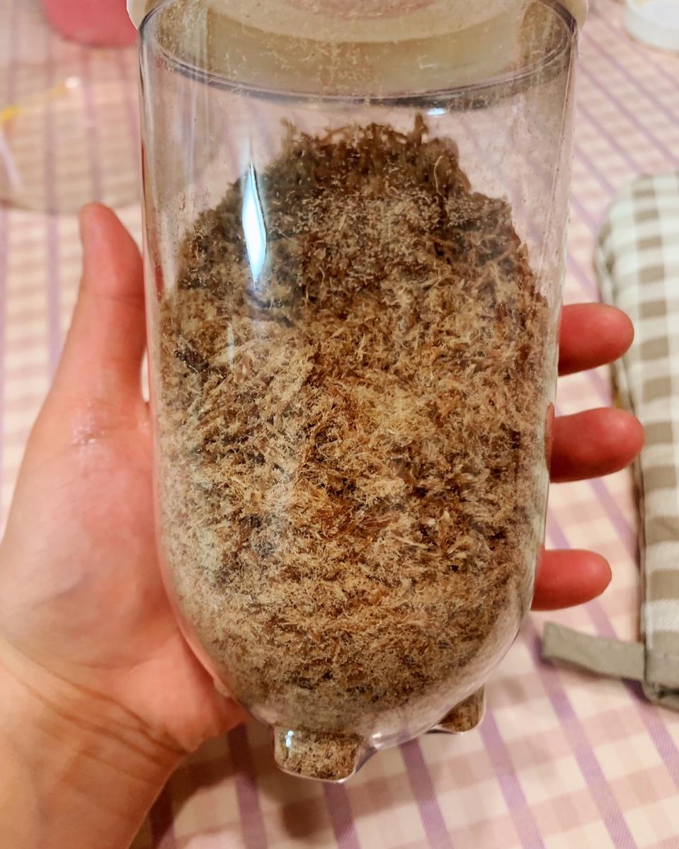 宝宝清真辅食😛零添加牛肉松（七个半月及以上）