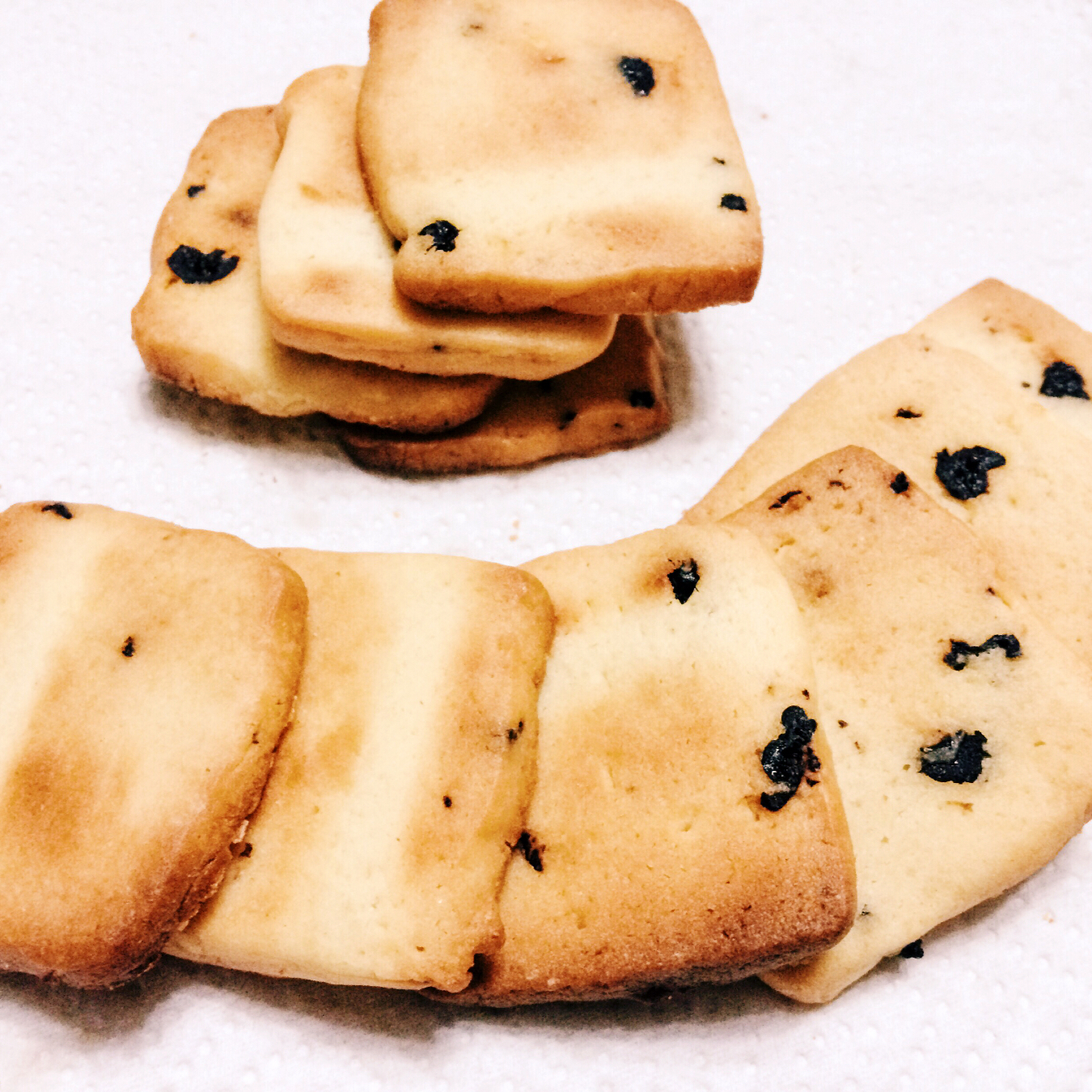 蔓越莓饼干--新手烘焙0压力 #皮黑森林#