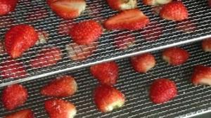 草莓干的做法 步骤6