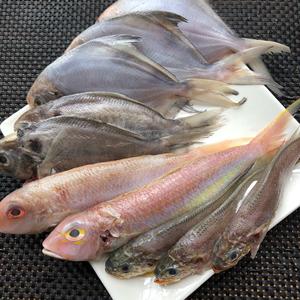 海水鱼之杂鱼煲的做法 步骤1