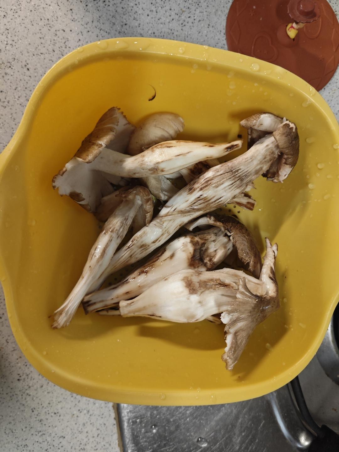 清蒸三塔菌（鸡枞）