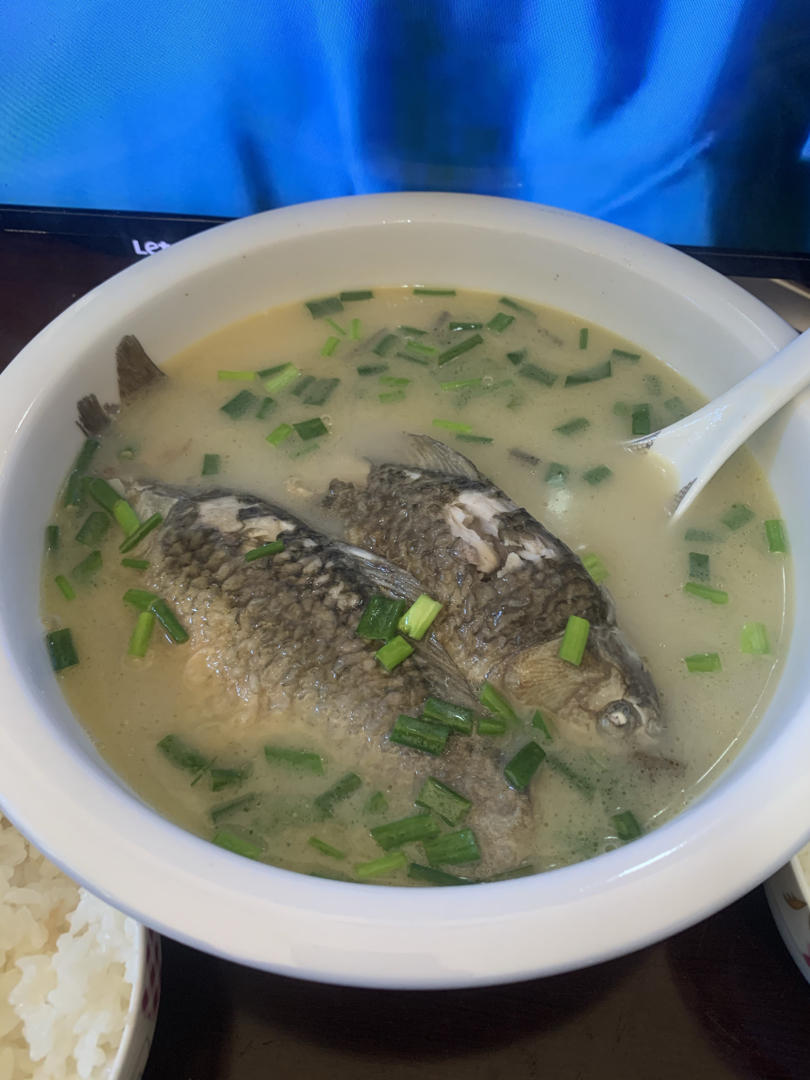 鲫鱼汤（包你能煮白白）