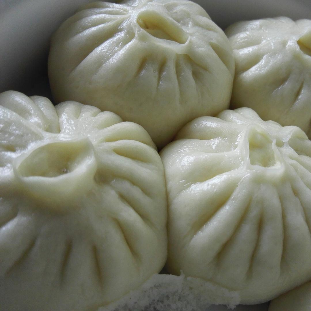 家庭手工肉馅大包子