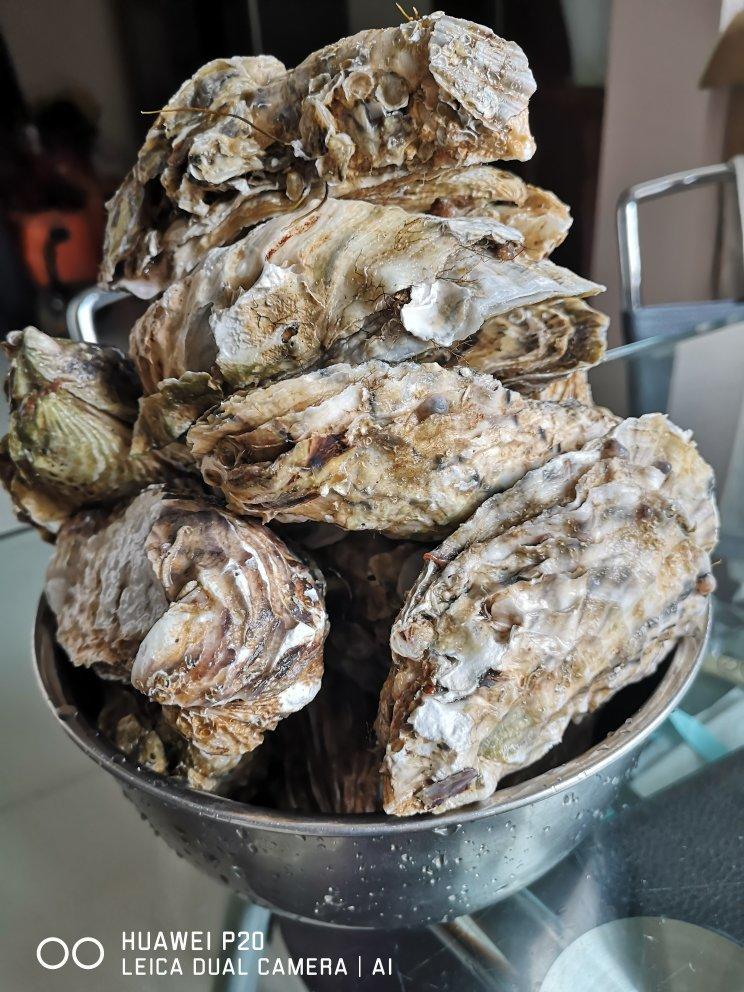 清蒸海蛎子（蒸不老的方法及如何挑选）