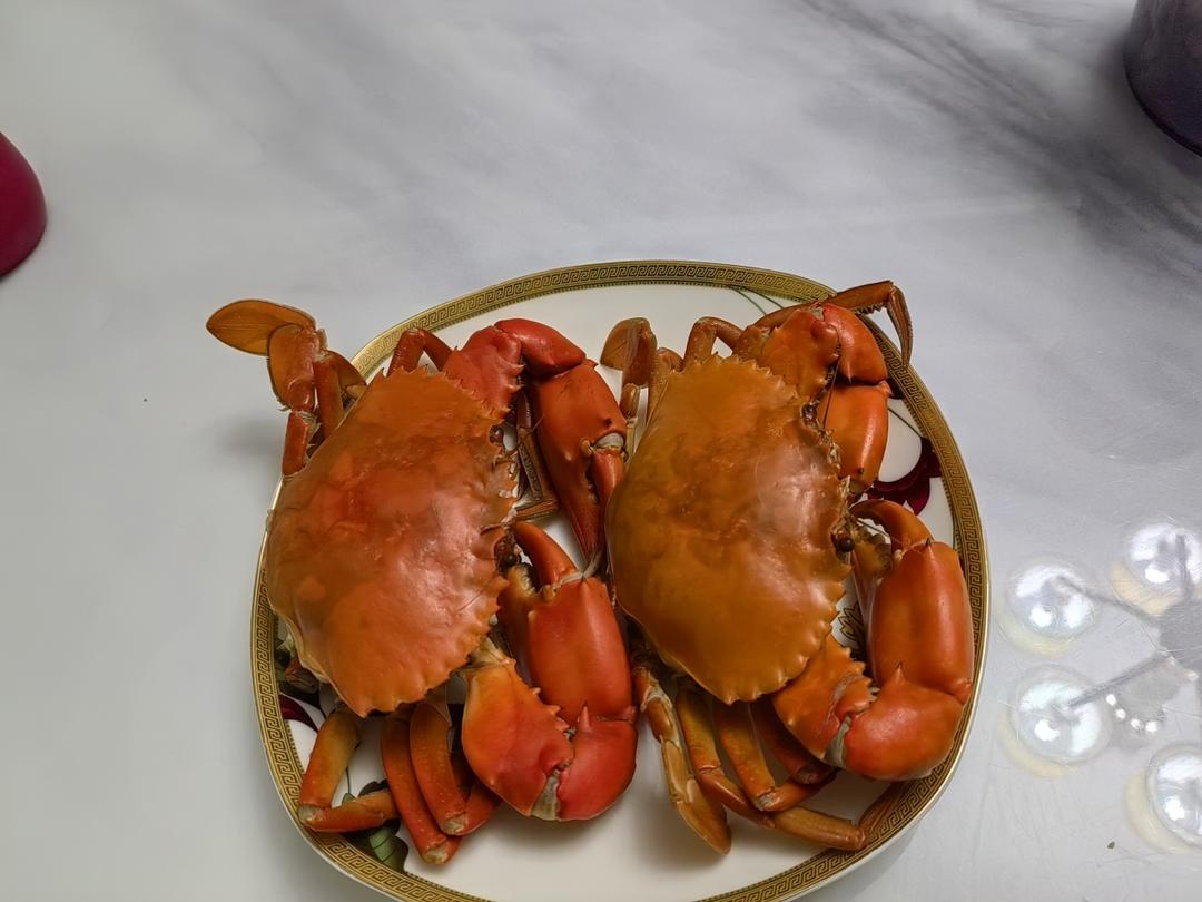 干蒸猷蠓