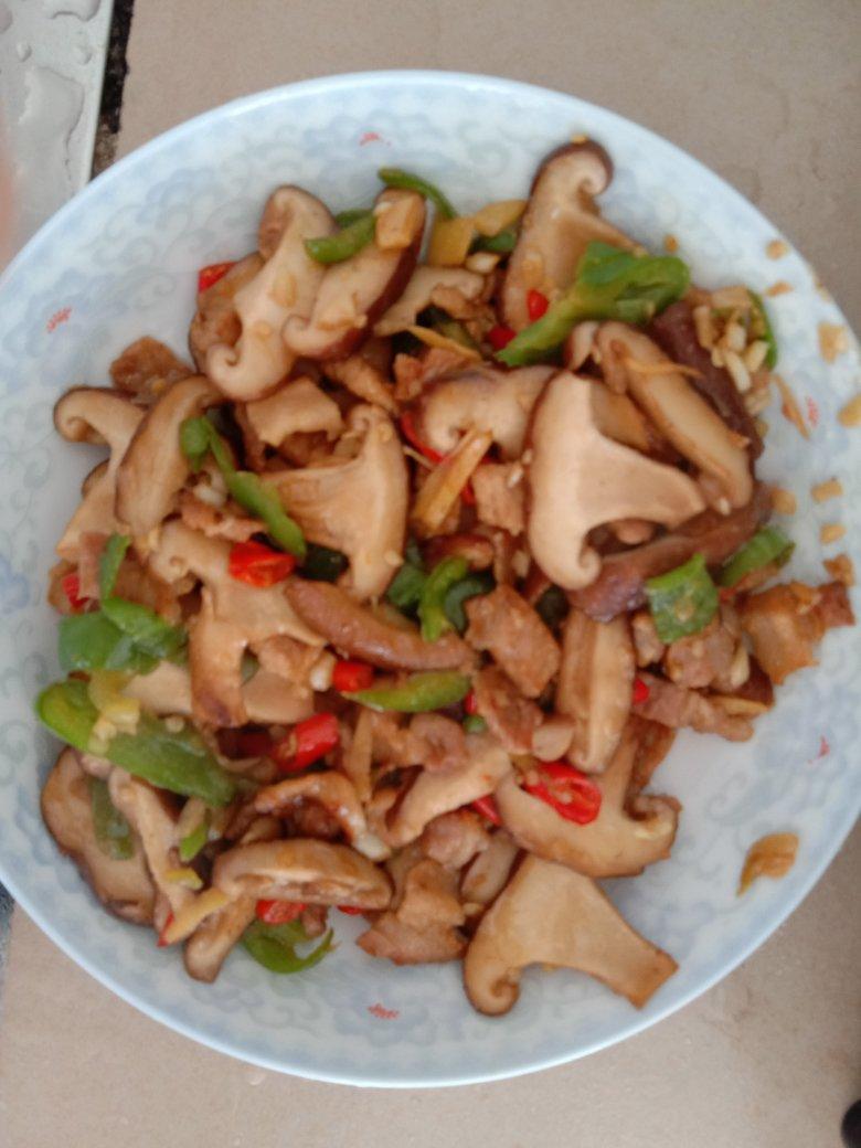 超级下饭香菇炒肉