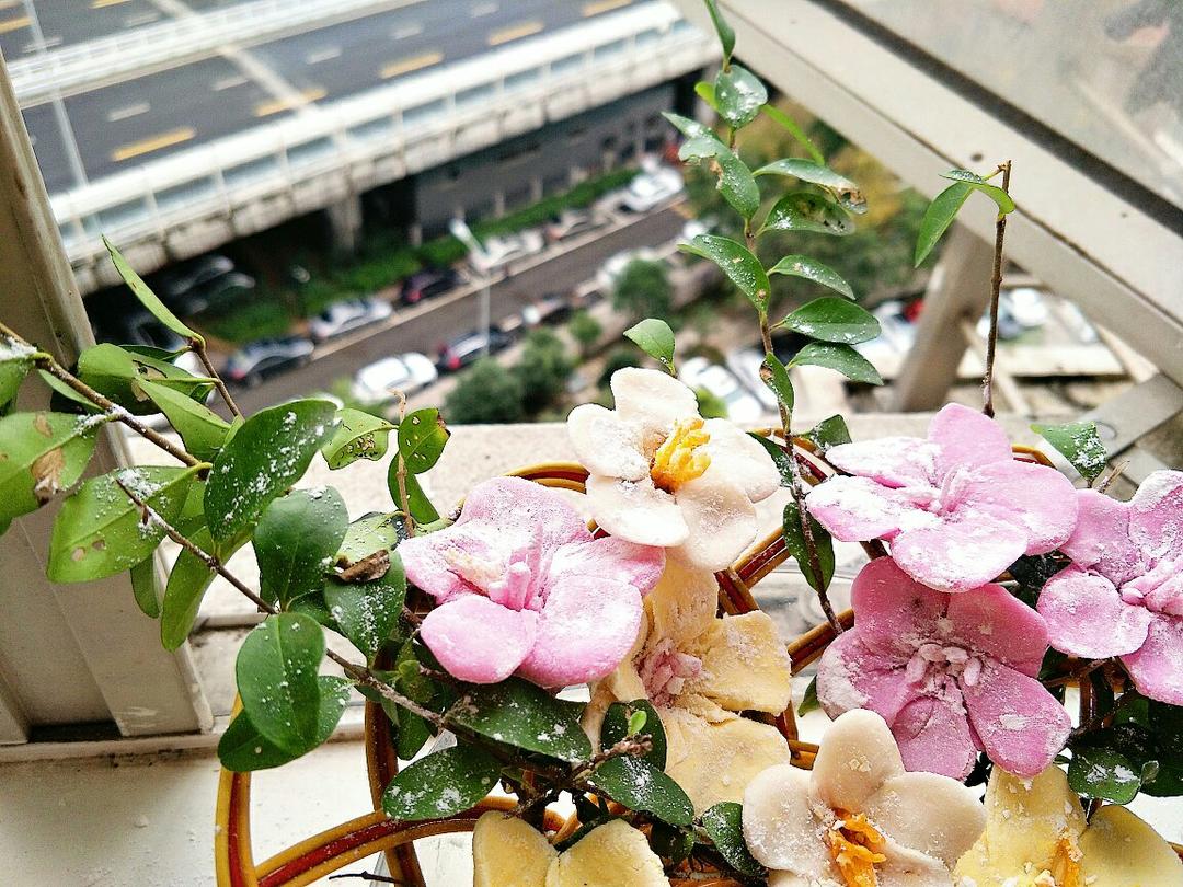 桃花汤圆