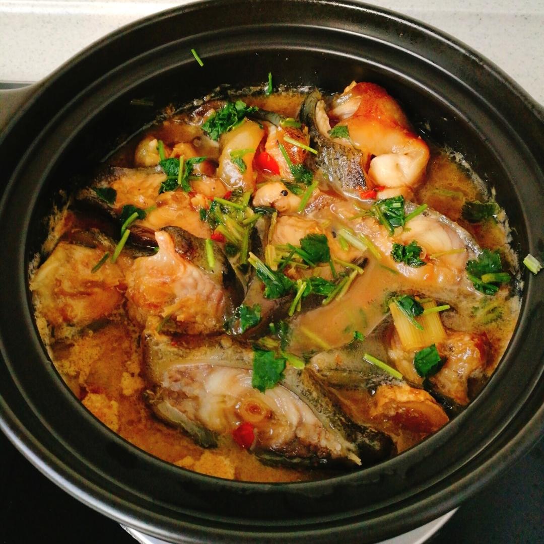 悠然小娟做的红烧海参斑鱼