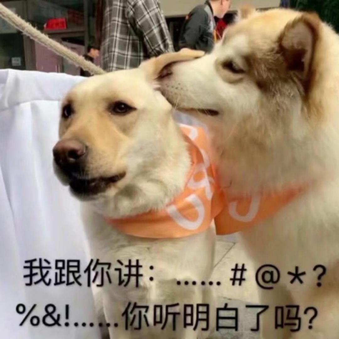 我跟你讲你听明白了吗